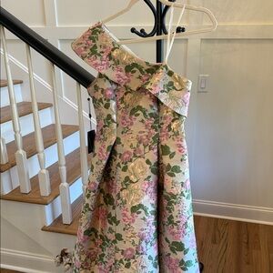 Adrianna Papell Pink and Green Floral Women’s  Dress